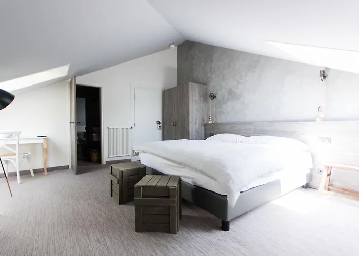 七号精品酒店 阿斯科纳