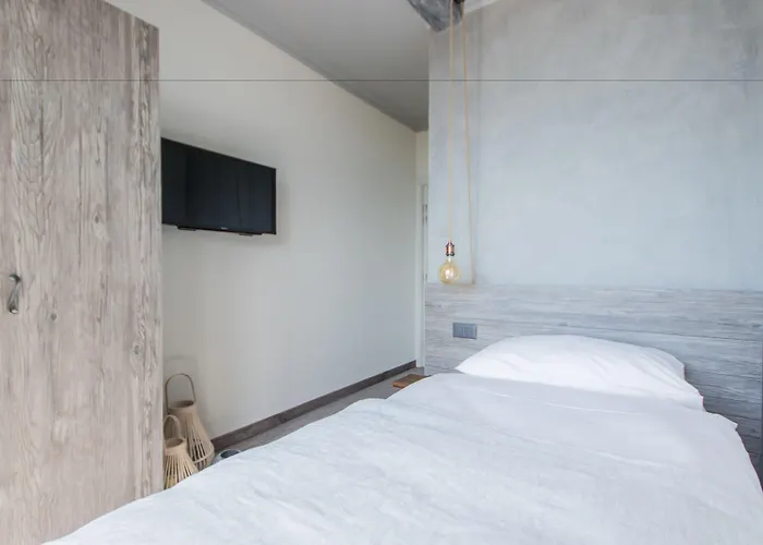 酒店 七号精品酒店 阿斯科纳