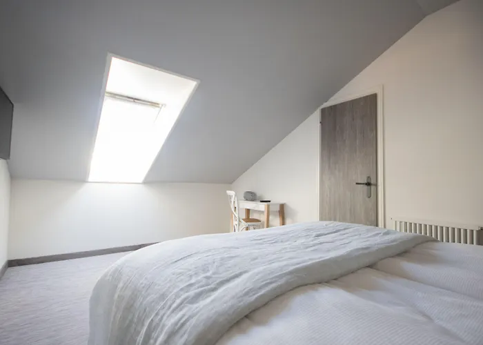 七号精品酒店 阿斯科纳