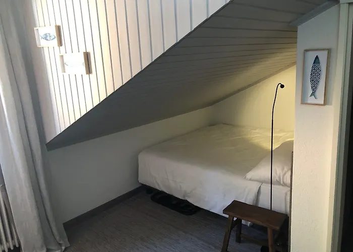 Hotel Seven Boutique 3*