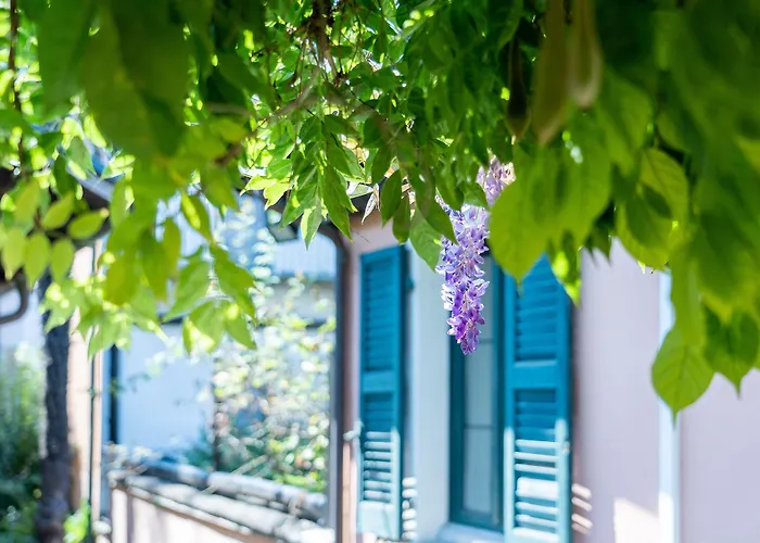 Seven Boutique 3* Ascona