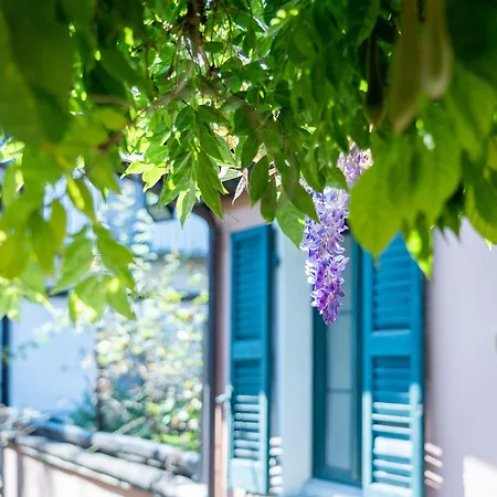 Seven Boutique 3* Ascona