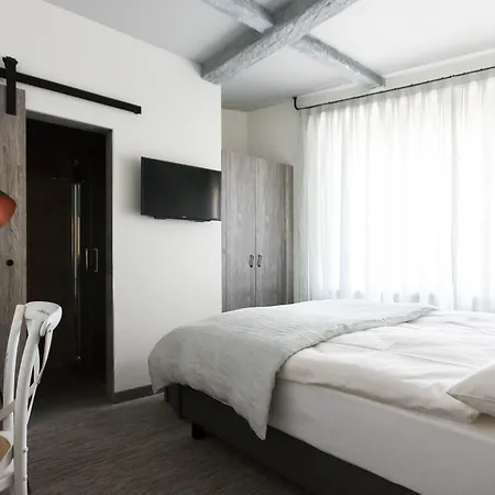 Seven Boutique 3* Ascona